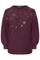 Büyük Beden Uzun Kollu Bisiklet Yaka Yıldız Taş İşlemeli Kazak 285036