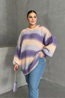 Büyük Beden Uzun Kollu Bisiklet Yaka Renk Bloklu Triko Kazak DG-06