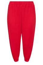 Büyük Beden Paçası ve Beli Lastik Detaylı Cepli Jogger Pantolon 303211