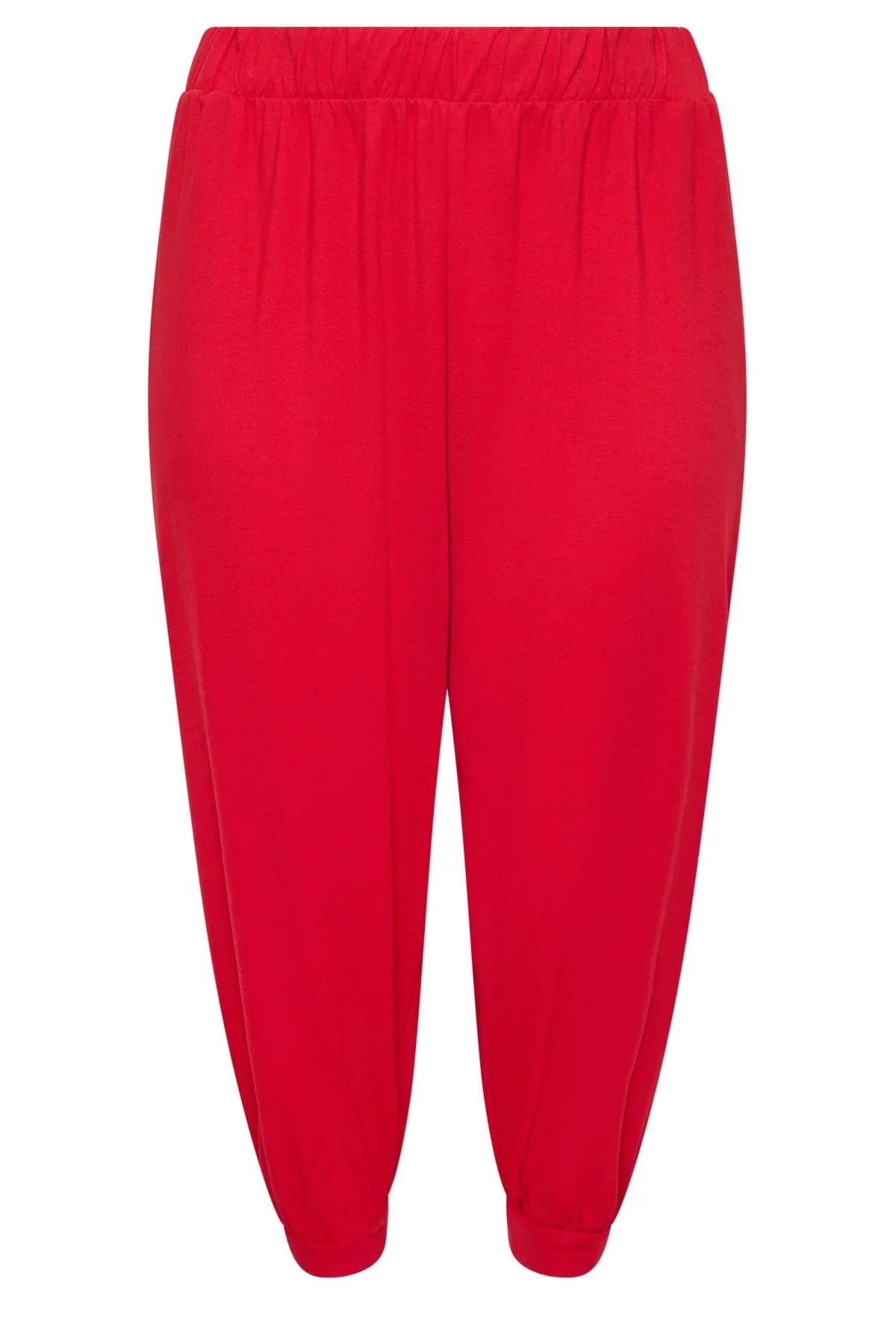 Büyük Beden Paçası ve Beli Lastik Detaylı Cepli Jogger Pantolon 303211