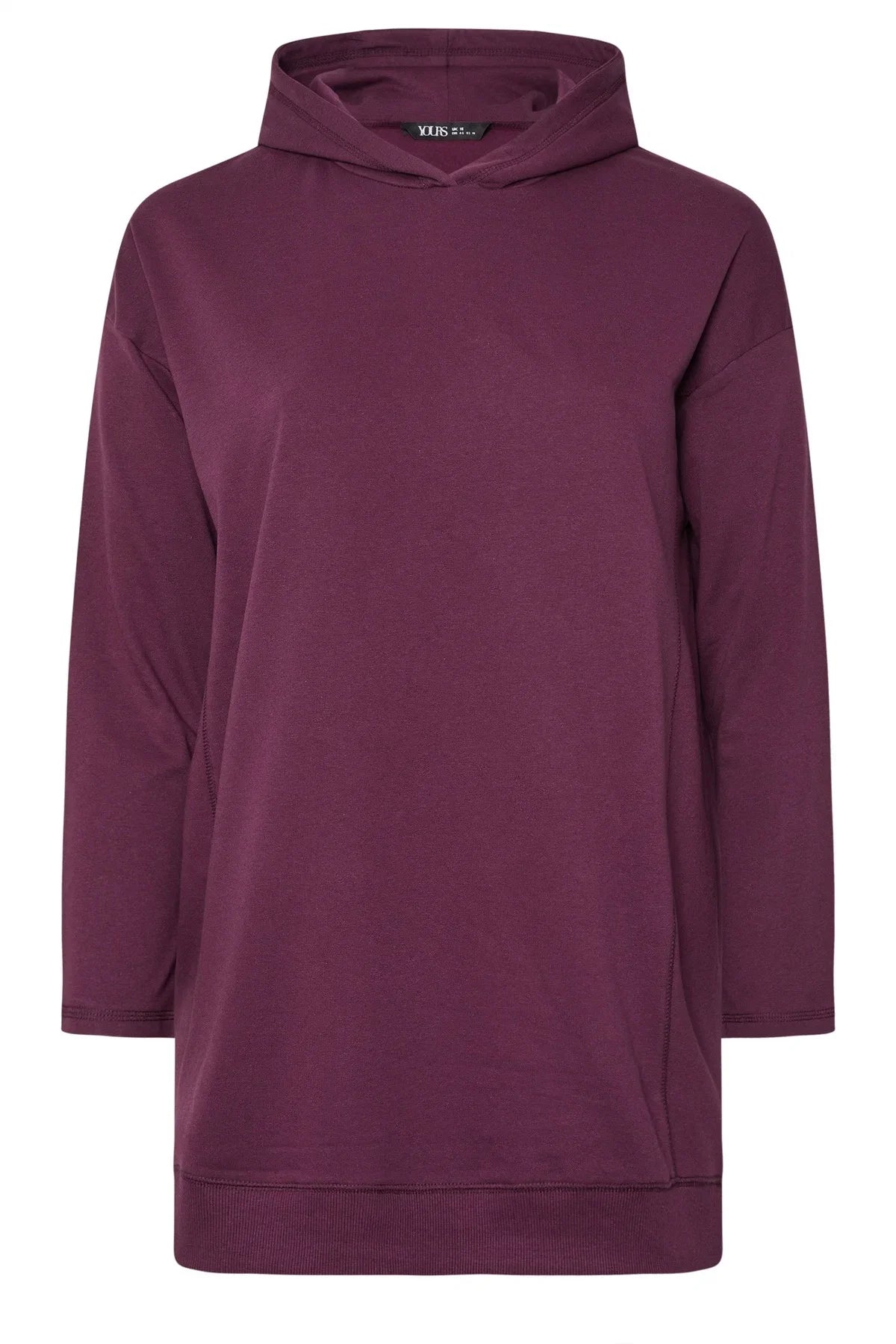 Büyük Beden Kapüşonlu Uzun Kollu Sweatshirt 304288