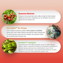 MFM Guarana Complex Cream – Sıkı Görünüm Destekleyici ve Anti-Selülit Bakım Kremi 100 ml