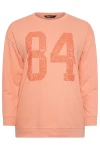 Büyük Beden Bisiklet Yaka Uzun Kollu Payet İşlemeli Sweatshirt 303142